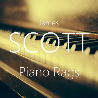 Piano Rags by James Scott