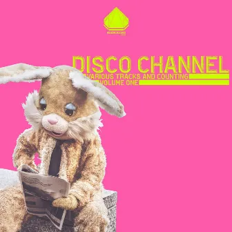 Various Tracks and Counting, Vol. 1 by Disco Channel