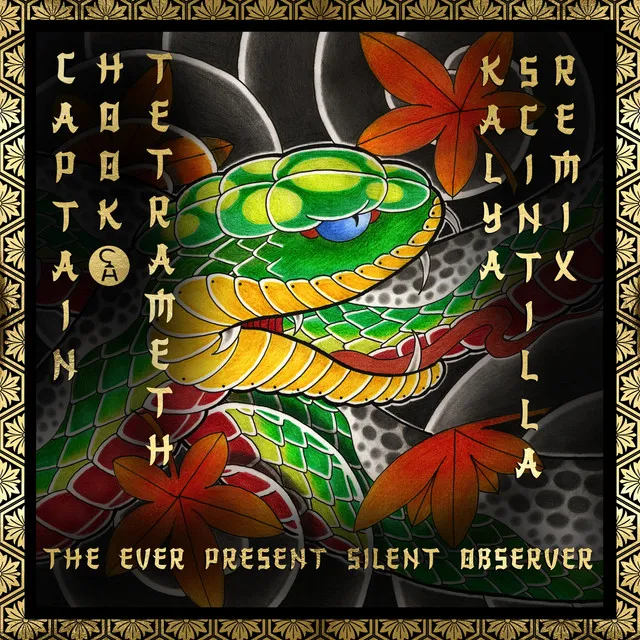 The Ever Present Silent Observer (Kalya Scintilla Remix)