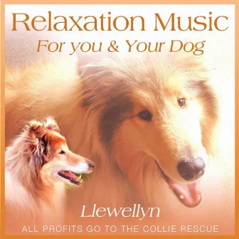 Relaxation Music for You and Your Dog by Llewellyn