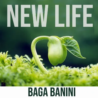 New Life by Baga Banini