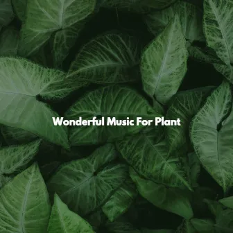 Wonderful Music For Plant by Unknown Artist