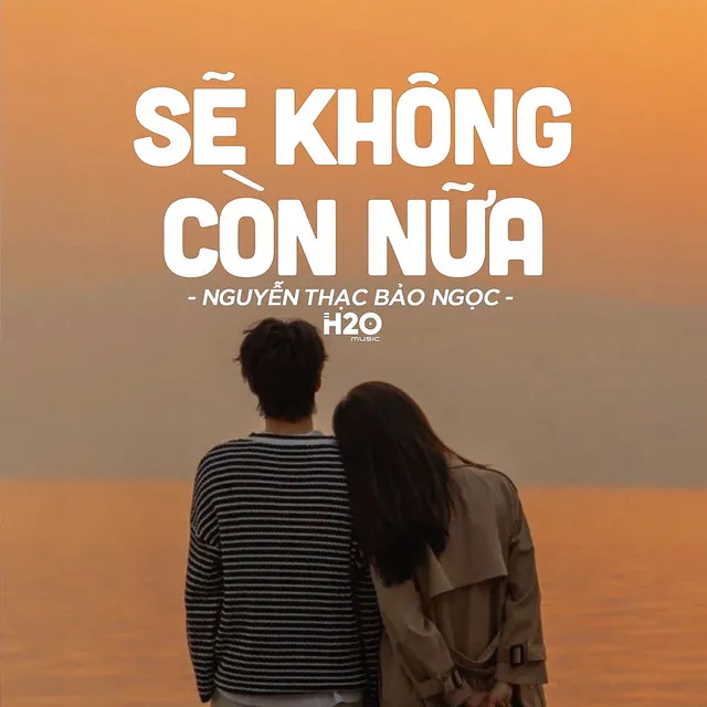 Sẽ Không Còn Nữa (Lofi Ver.)