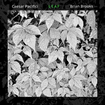 Leaf by Brian Brooks