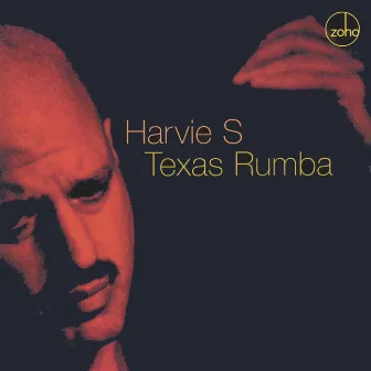 Texas Rumba by Harvie S