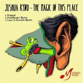 The Magic In This Place by Joshua Kynd