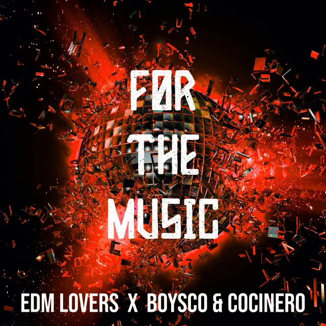 For the Music - Radio-Edit