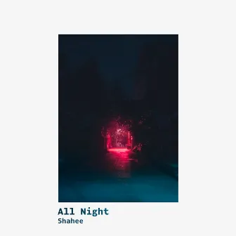 All Night by Shahee