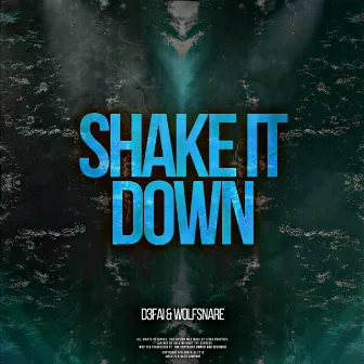 Shake It Down by Wolfsnare