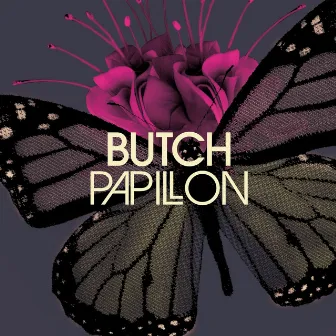 Papillon by Butch