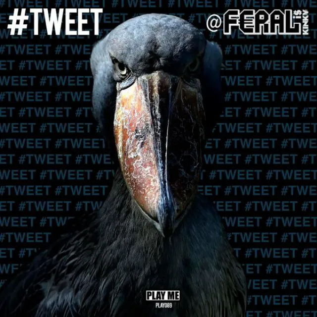 #TWEET - Spenda C Remix