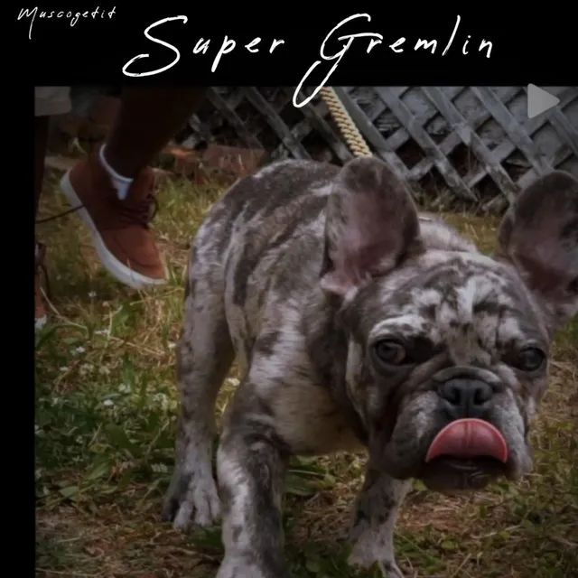 Super Gremlin