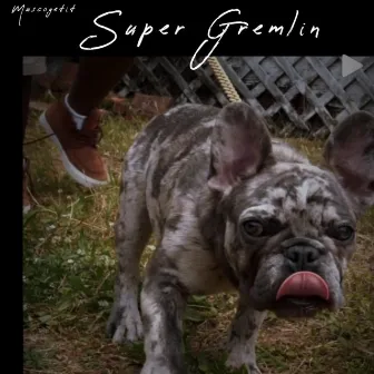 Super Gremlin by Kanal 104