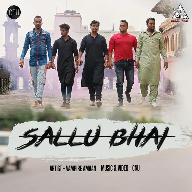 Sallu Bhai Hyderabadi Rap Song