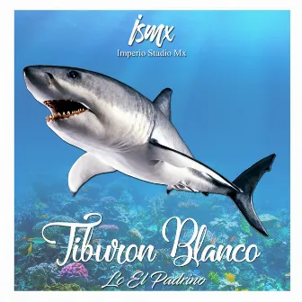 Tiburon by Lc El Padrino