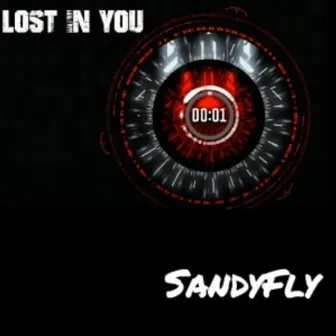 Lost In You by SandyFly