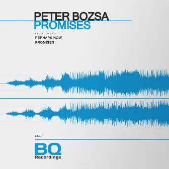 Promises by Peter Bozsa