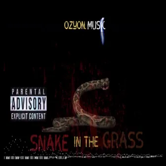 Snake in the grass by Ozyon