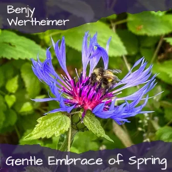 Gentle Embrace of Spring by Benjy Wertheimer