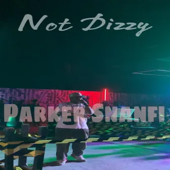 Not Dizzy by Parker Snanfi