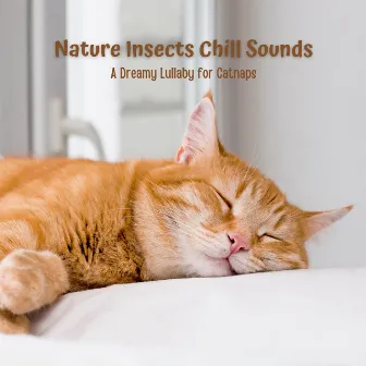 Nature Insects Chill Sounds: A Dreamy Lullaby for Catnaps by Cats Music Cradle