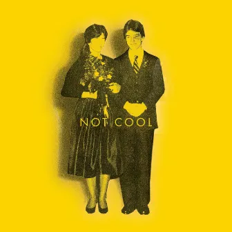 Not Cool by Tim Easton