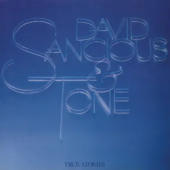 True Stories by David Sancious