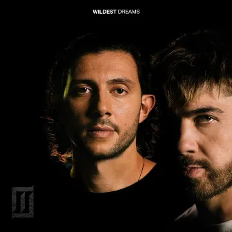 Wildest Dreams by Majid Jordan