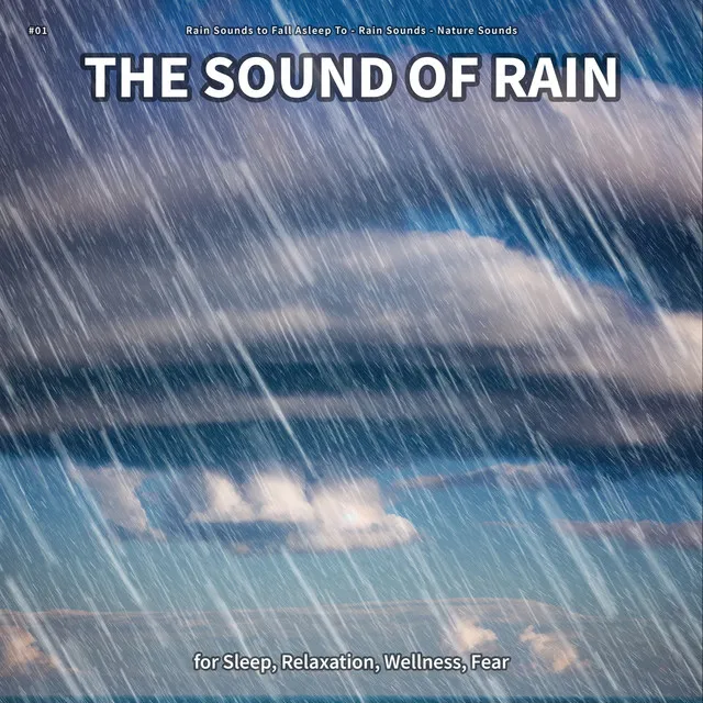 The Sound of Rain, Pt. 34