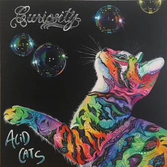 Curiosity by Acid Cats