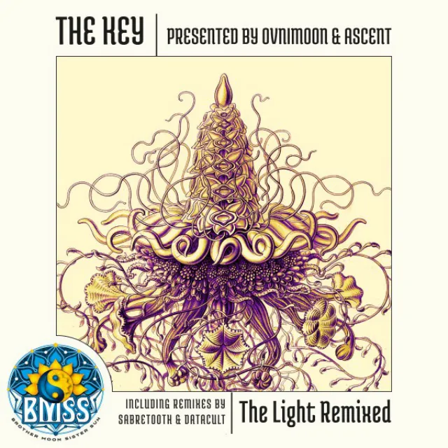 The Light Remixed