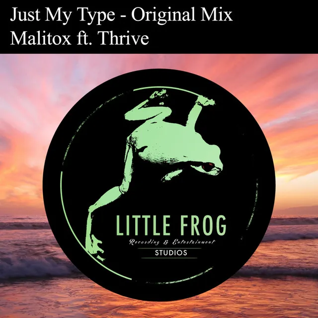 Just My Type - Original Mix