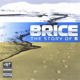 The Story of B by Brice