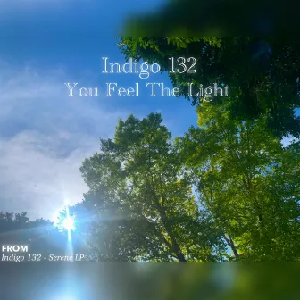 You Feel The Light by Indigo 132