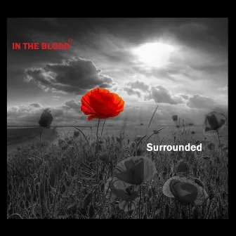 Surrounded by In The Blood