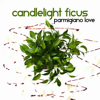 Parmigiano Love by Candlelight Ficus