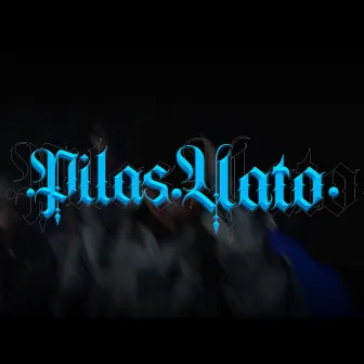 Pilas Vato by Mc Calo