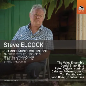 Steve Elcock: Chamber Music, Vol. 1 by Veles Ensemble