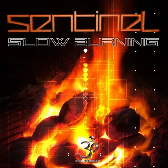 Slow Burning by Sentinel