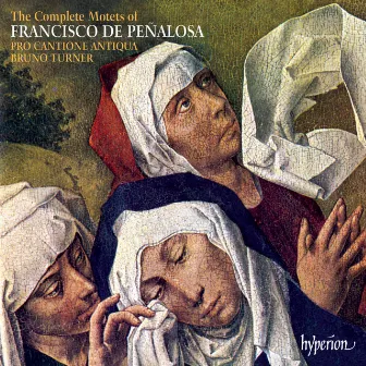 Peñalosa: The Complete Motets by Bruno Turner