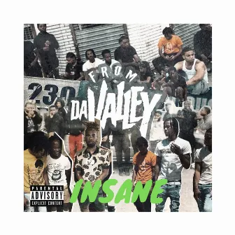 Insane (From da Valley) by Vamp