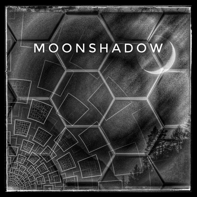 Moonshadow