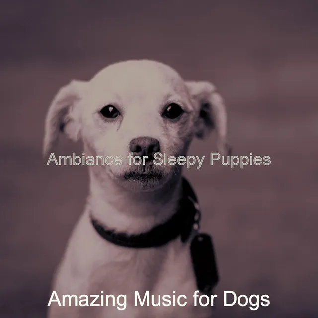 Ambiance for Sleepy Puppies