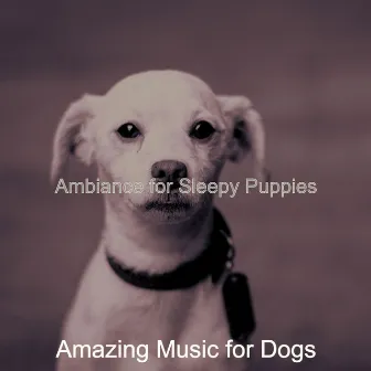 Ambiance for Sleepy Puppies by Amazing Music for Dogs