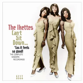 Can't Sit Down...'cos It Feels so Good!: The Complete Modern Recordings by The Ikettes