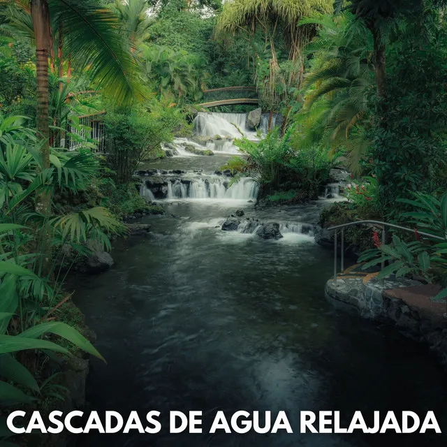 Cascadas De Agua Relajada