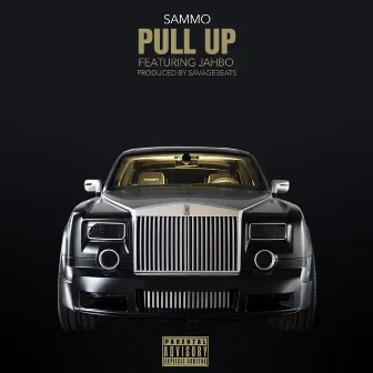 Pull Up by Sammo