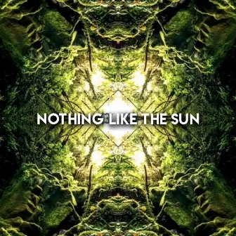 Nothing Like The Sun by Adam Deitch