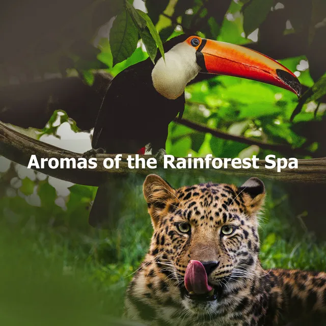 Aromas of the Rainforest Spa