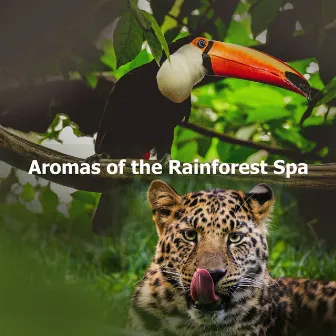 Aromas of the Rainforest Spa by Rainforest Spa Relaxing